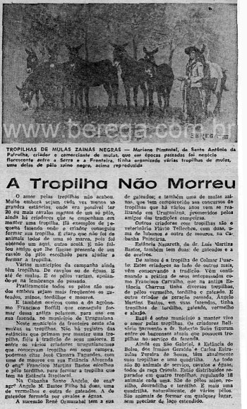 Jornal Correio do Povo - 05 de junho de 1981