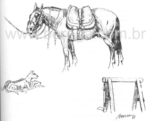 Livro Dicionário Gaúcho do Cavalo - 1987 - pg 59