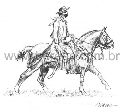 Livro Dicionário Gaúcho do Cavalo - 1987 - pg 93