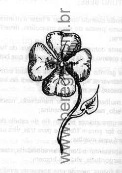 Trevo de 4 folhas - Livro Medicina Campeira e Povoeira