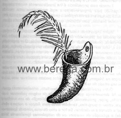 Guampa - Livro Medicina Campeira e Povoeira