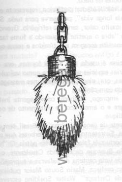 Pé de Coelho - Livro Medicina Campeira e Povoeira