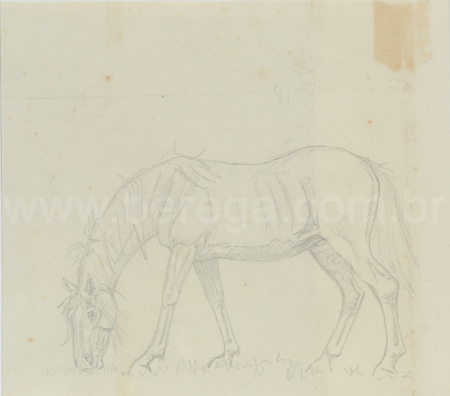Desenho em grafite de cavalo pastando - não datado