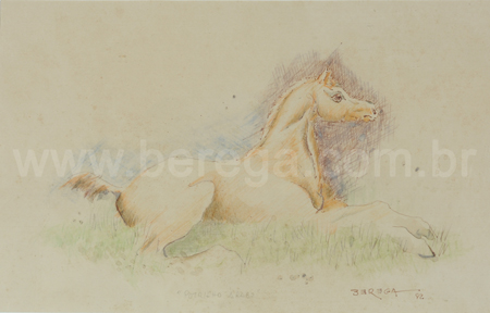 Desenho de potrilho da raça árabe - 1982