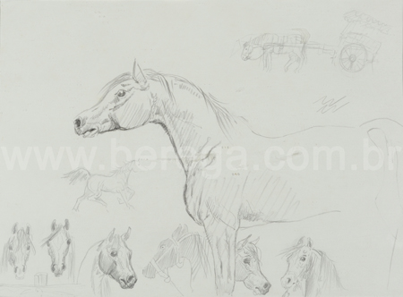 Esboços em grafite de cavalos - não datado