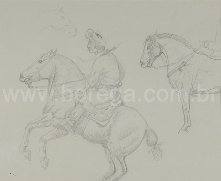 Desenho de cavalos crioulos