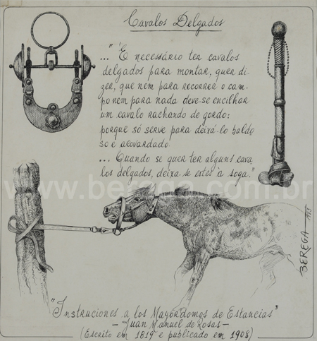 Cavalos Delgados - desenho em bico de pena - 1983