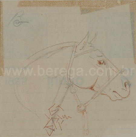 Cavalo Crioulo - Desenho em grafite sobre Canson A3, arte