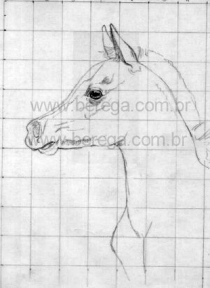 Desenhos e Esbo?s - Berega