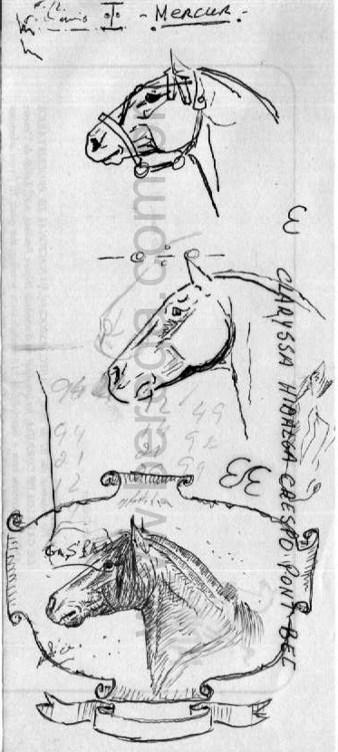 esbo?s de cabe?s de cavalo crioulo