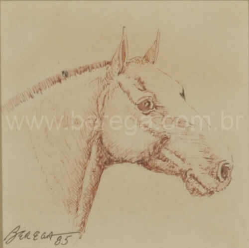 Desenho de cabeça de cavalo crioulo