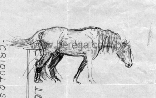 Desenhos e Esboços - Berega