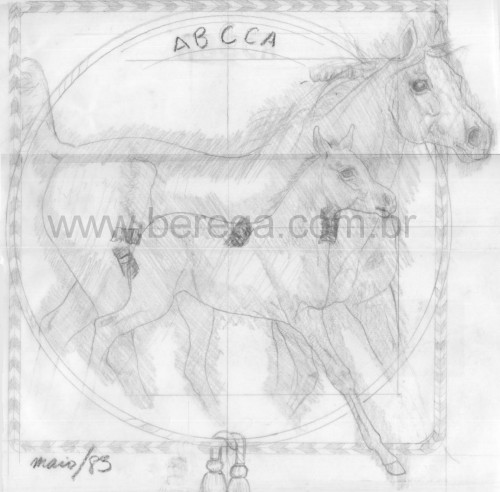 Desenhos e Esbo?s - Berega