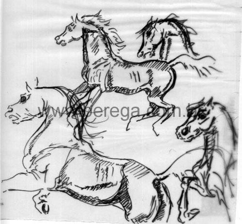 Desenhos e Esbo?s - Berega