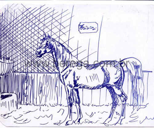 Desenhos e Esbo?s - Berega