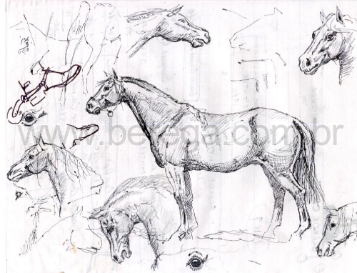 Desenhos e Esbo?s - Berega
