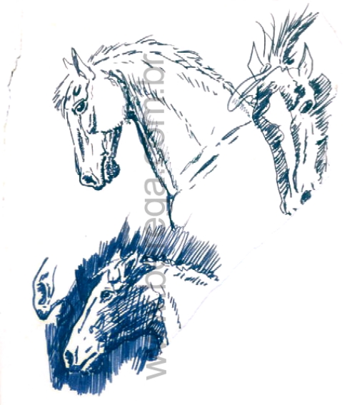Desenhos e Esbo?s - Berega