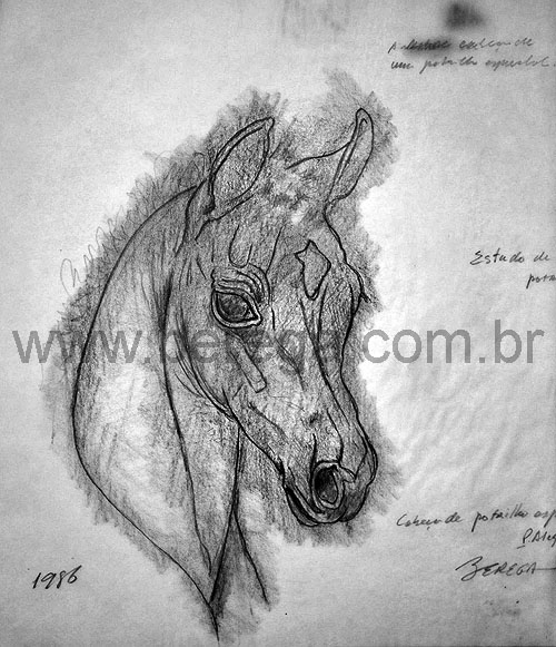 desenho de cabe? de potrilho - 1986