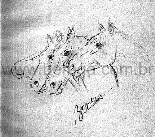 desenho r?ido de cabe?s de cavalos crioulos na contracapa do livro Pellajes Criollos de Emilio Solanet.
