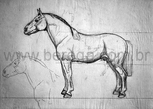 esboco cavalo crioulo perfil com cabeca.jpg (158693 bytes)
