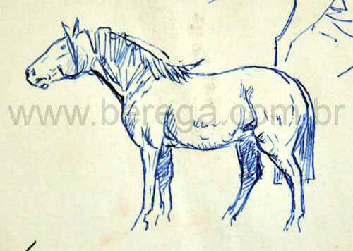 esboco cavalo crioulo perfil esquerda esf azul.jpg (45102 bytes)