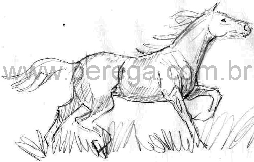 esboco de cavalo em trote
