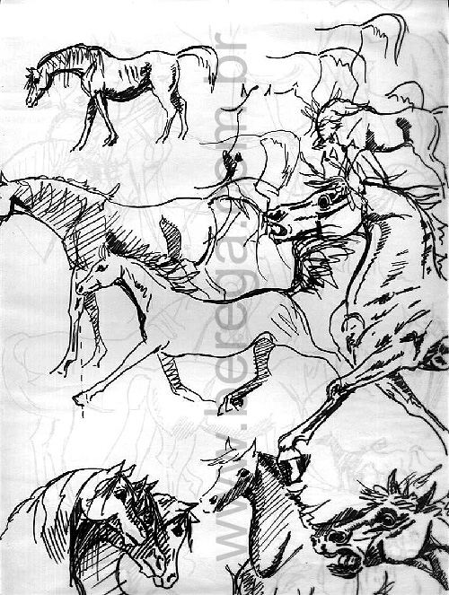 desenho r?ido de cavalos diversos