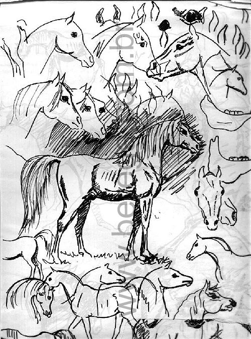desenho r?ido de cavalos diversos