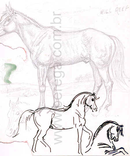 desenho r?ido de cavalos diversos