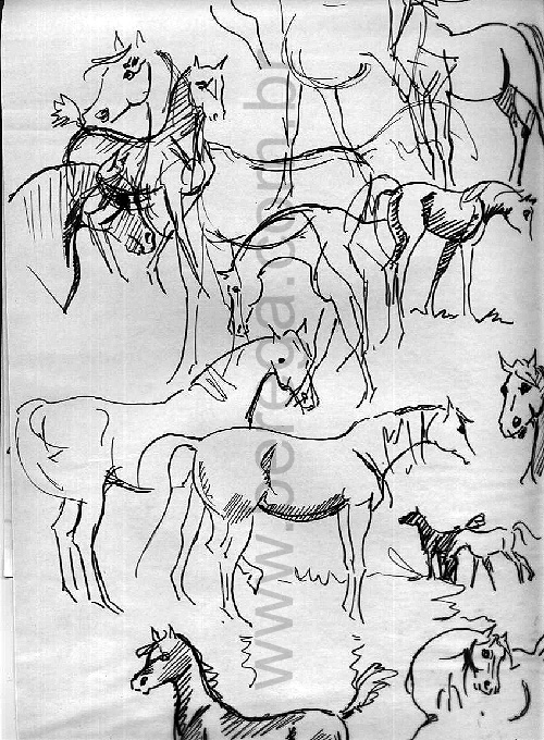desenho r?ido de cavalos diversos