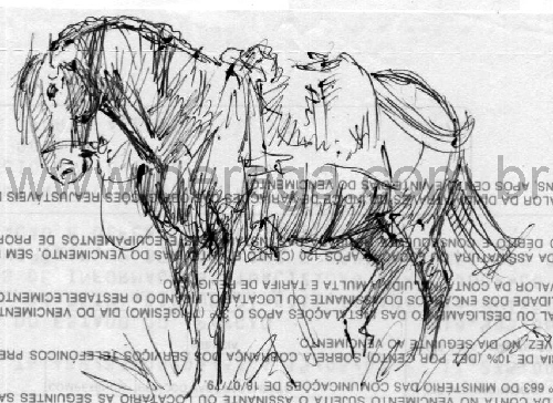 desenho r?ido de cavalo encihado