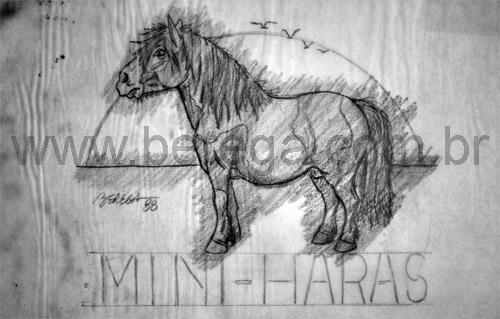 esboco logo mini haras godi.jpg (69433 bytes)
