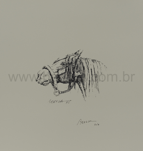 Desenho em bico de pena cabeça de cavalo crioulo - 1985