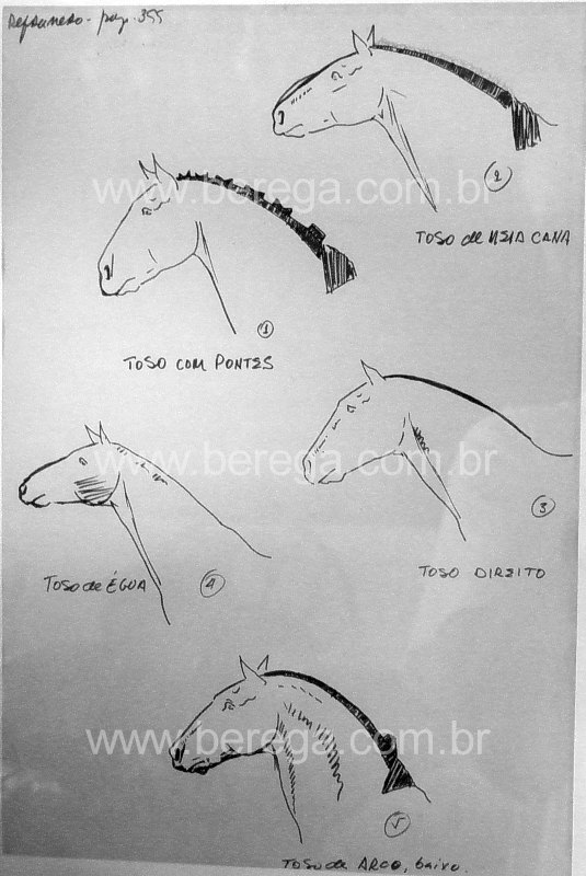 Berega Website Oficial - Obras - Desenhos e Esboços Gaúchos e Cavalos