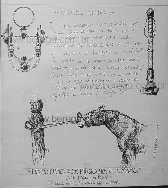 Desenhos e Esboços - Berega