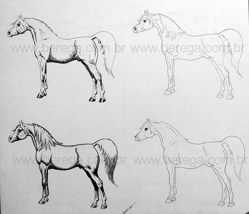 Desenhando um cavalo - Desenho rápido - Peão montado no cavalo - Drawing 