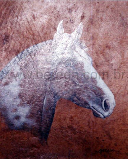 cabe? de cavalo crioulo pelagem oveira