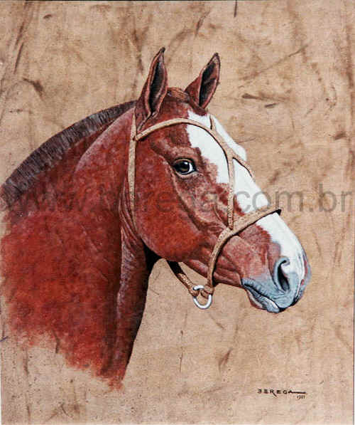 CABEÇA CAVALO CRIOULO ÓLEO SOBRE - Atelier Janaína Artes