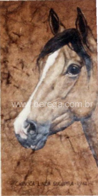 cavalo crioulo Chinoca Linda Sucupira