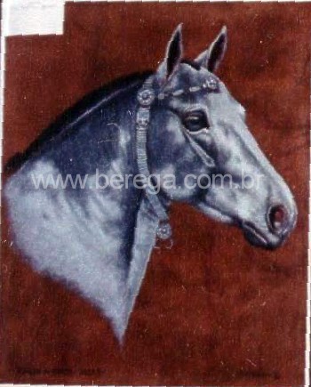 cabe? de cavalo crioulo com fiador