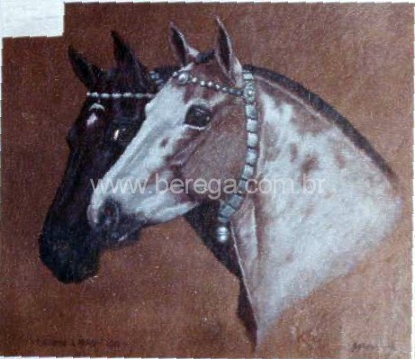 duas cabe?s de cavalo crioulo com fiador