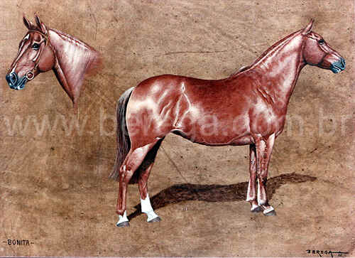 ?ua crioula BONITA - 1982