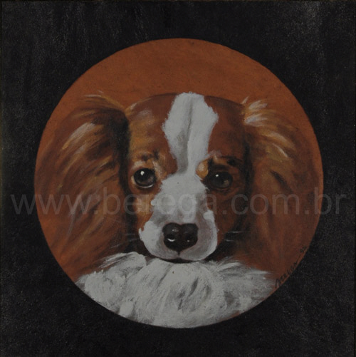 cabeça de cão King Charles Spaniel - 1992