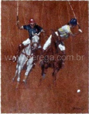 polo.jpg (34898 bytes)