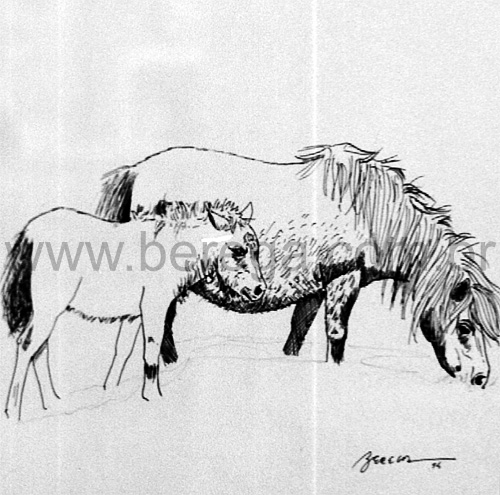 p?eis em nankin - 1994